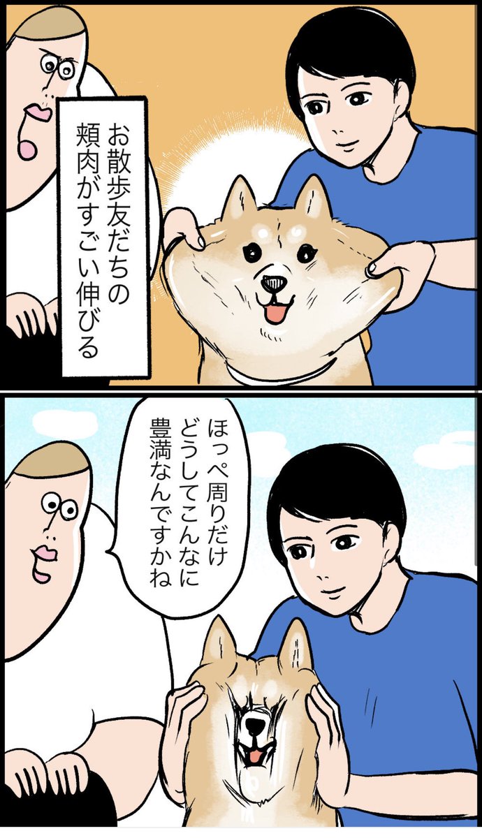 ブログかきました🐕 