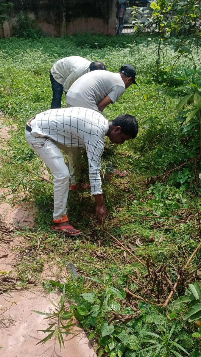 DyNarmada's tweet photo. Cleaning campaign under #SwachhataHiSeva. https://t.co/vluima18WG
