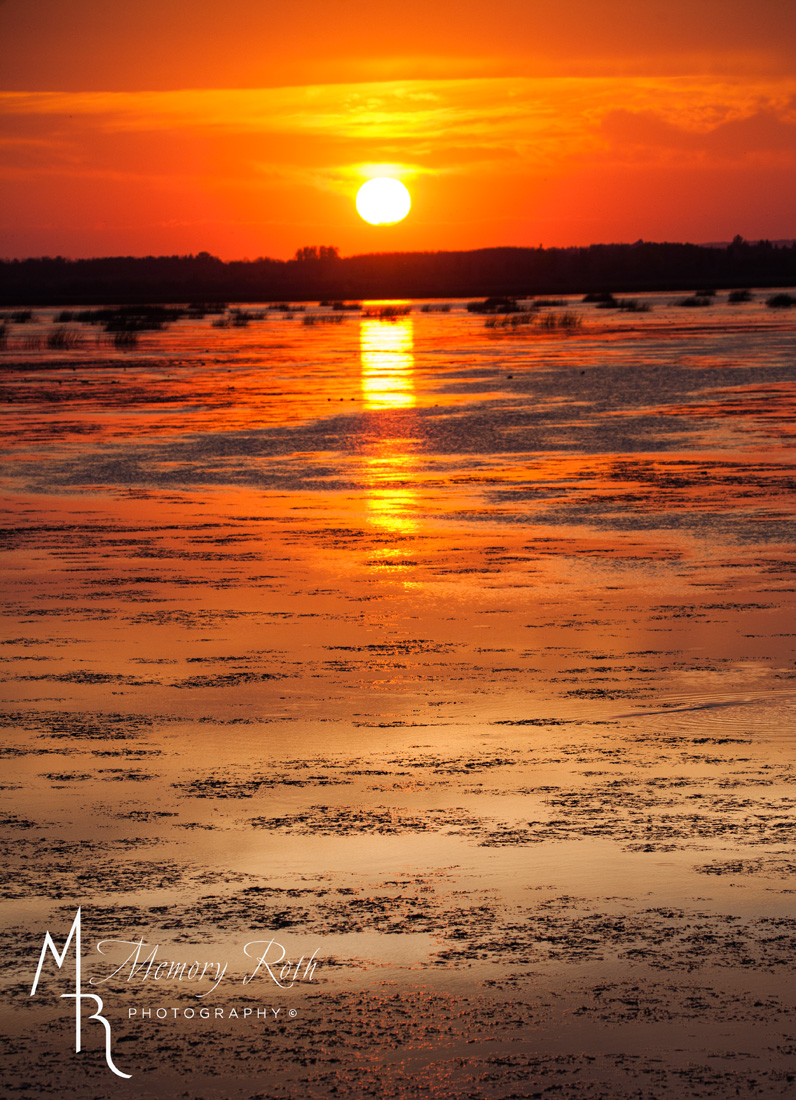 Memory Roth (@memoryroth) on Twitter photo Sunsets at Big Lake can be so spectacular. Tonight was no exception. All you need are a few clouds, and the reflection of the lake. #biglake <a href="/Albertaparks/">Alberta Parks</a> <a href="/CityofStAlbert/">City of St Albert</a> #sunsets #photography #fall Sunsets at Big Lake can be so spectacular. Tonight was no exception. All you need are a few clouds, and the reflection of the lake. #biglake <a href="/Albertaparks/">Alberta Parks</a> <a href="/CityofStAlbert/">City of St Albert</a> #sunsets #photography #fall