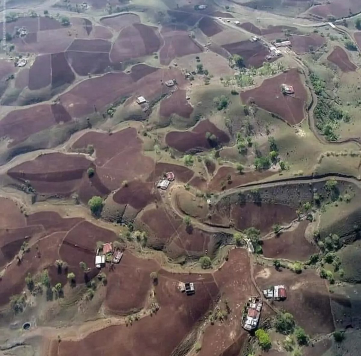 <a href="/jerina_ng/">Truth</a> <a href="/UNEP/">UN Environment Programme</a> Large scale poppy plantation by the #KukiChinNarcoterrorists by cutting down the lush green forests has caused serious environmental impacts on the society. The loss of forests cover in Manipur as per Forest Survey of India, is alarming. #WorldEnvironmentalHealthDay