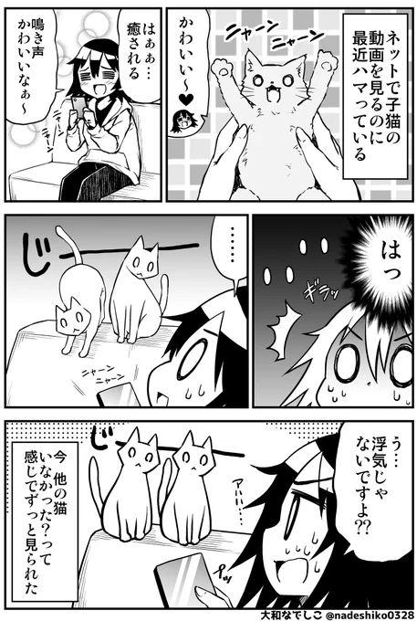 スマホからの子猫の鳴き声にめっちゃ反応してた