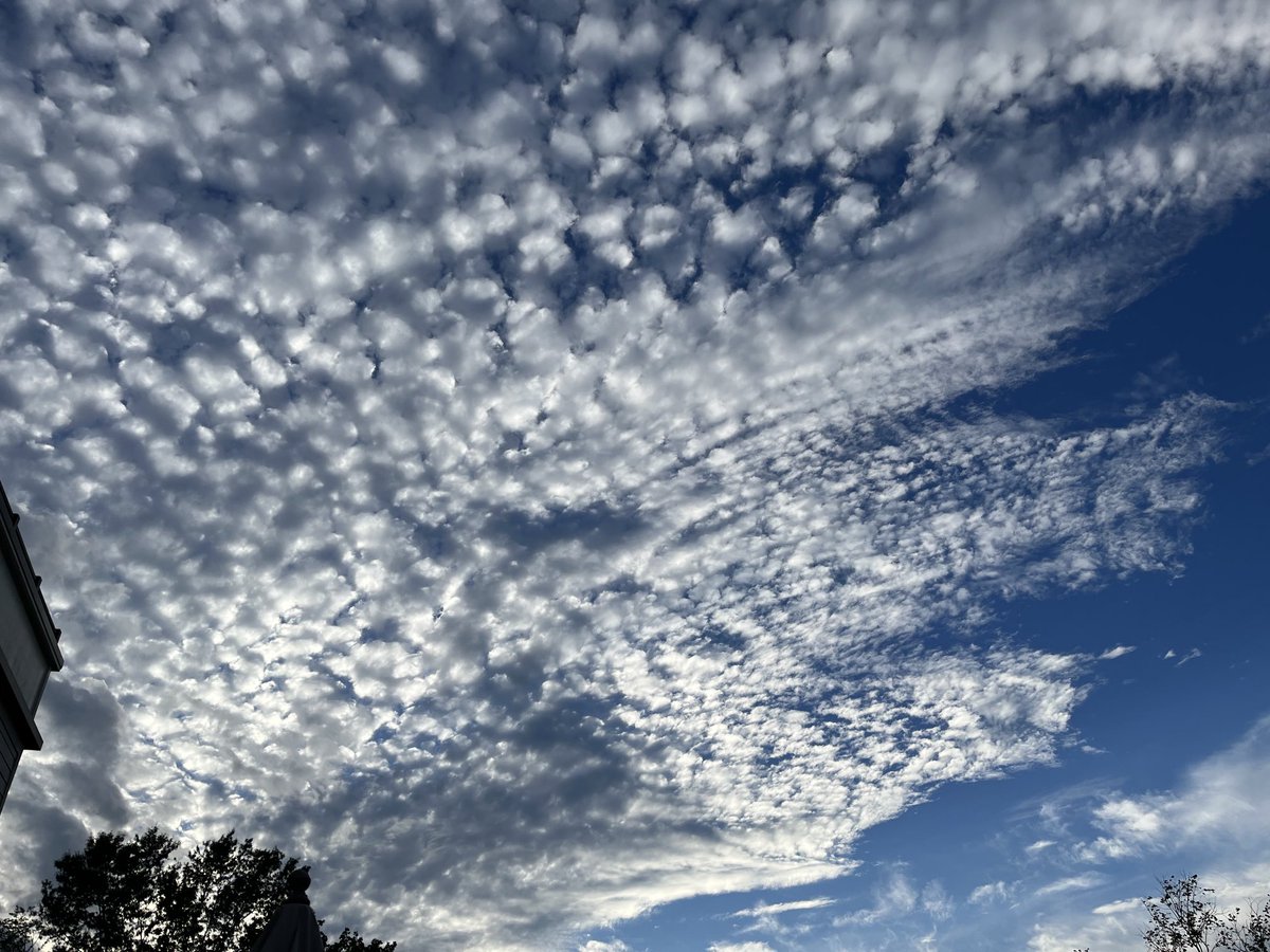 Bill Murray (WxH) tweet media