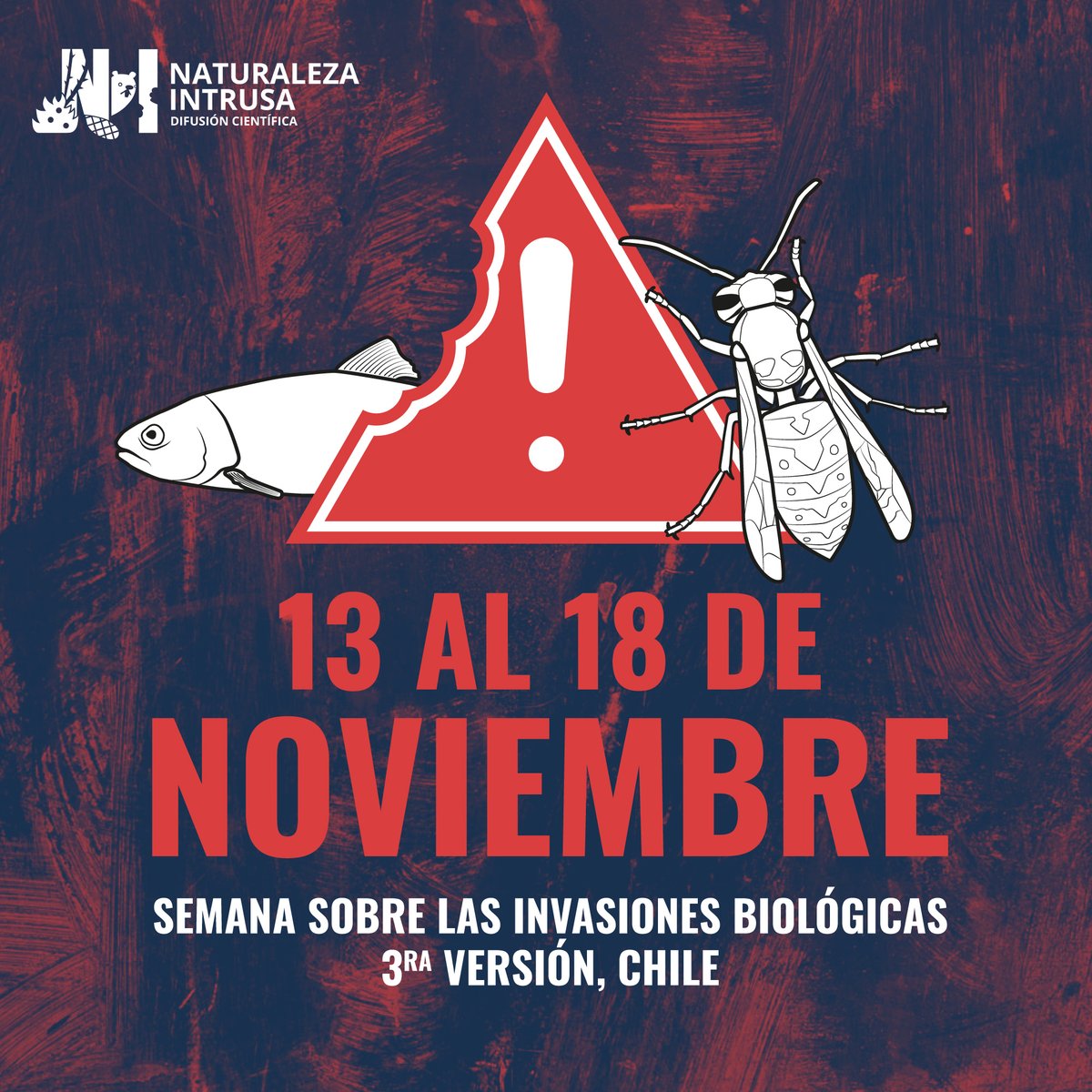 Naturaleza Intrusa tweet media