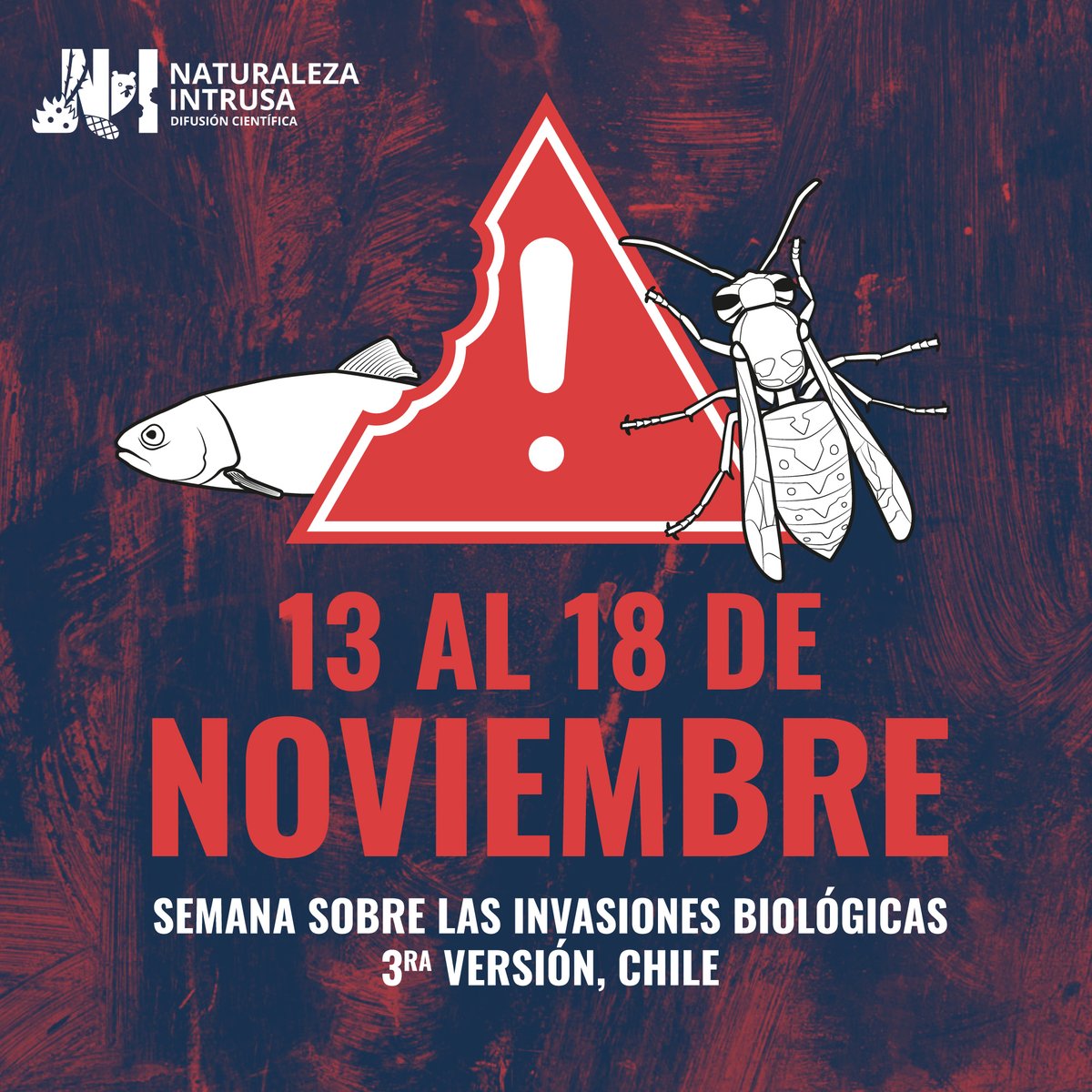 ⚡️⚡️¡Pronto tendremos la 3ra versión de la Semana sobre las Invasiones Biológicas! ¿Cuándo? Desde el 13 al 18 de noviembre. 🗓️ #InvasiveAlienSpecies #EspeciesExóticasInvasoras #InvasiveSpeciesWeek