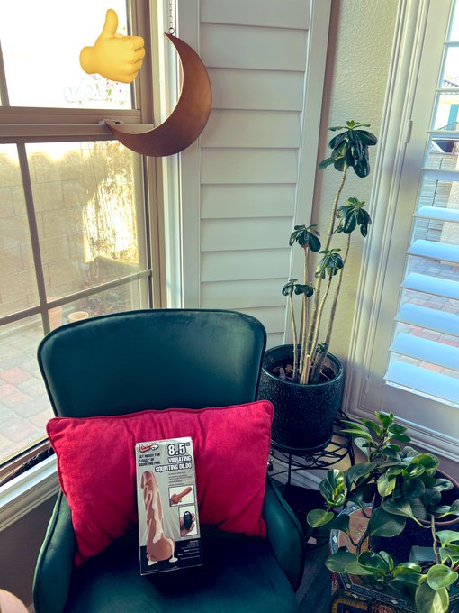 @CherieDeVille the planter looks great! Now I just need a succulent for it ! https://t.co/L8nym1vPeu<a class="tags" href="/tag/cheriedeville">@cheriedeville</a><a href="/tag/milfposse"class="tags"><span>#milfposse</span></a>