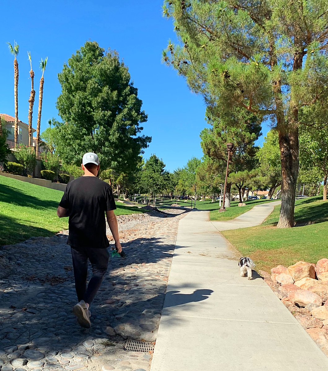 I found a new walking trail to take the folks to. #bandit #dogsoftwitter #dogs