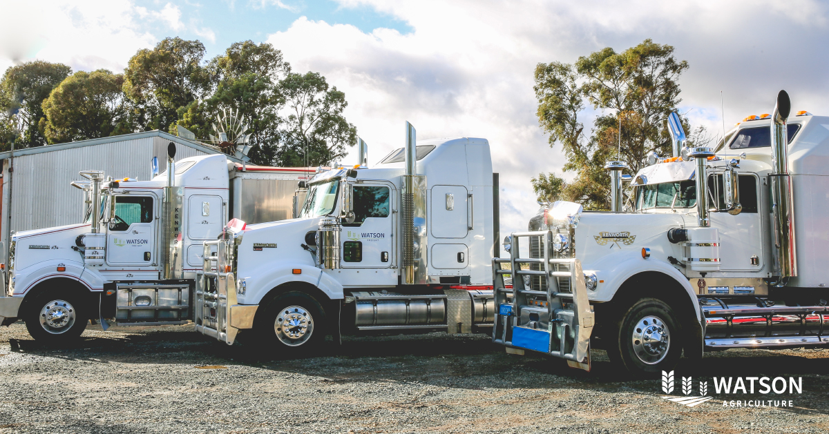 With 40+ years of farming expertise, #WatsonAgriculture ensures top results and excellent customer service. Connect with our experts for a successful success.
 
watsonagriculture.com.au/contact-us/
#AgriculturalExperts #Crops #Farmers