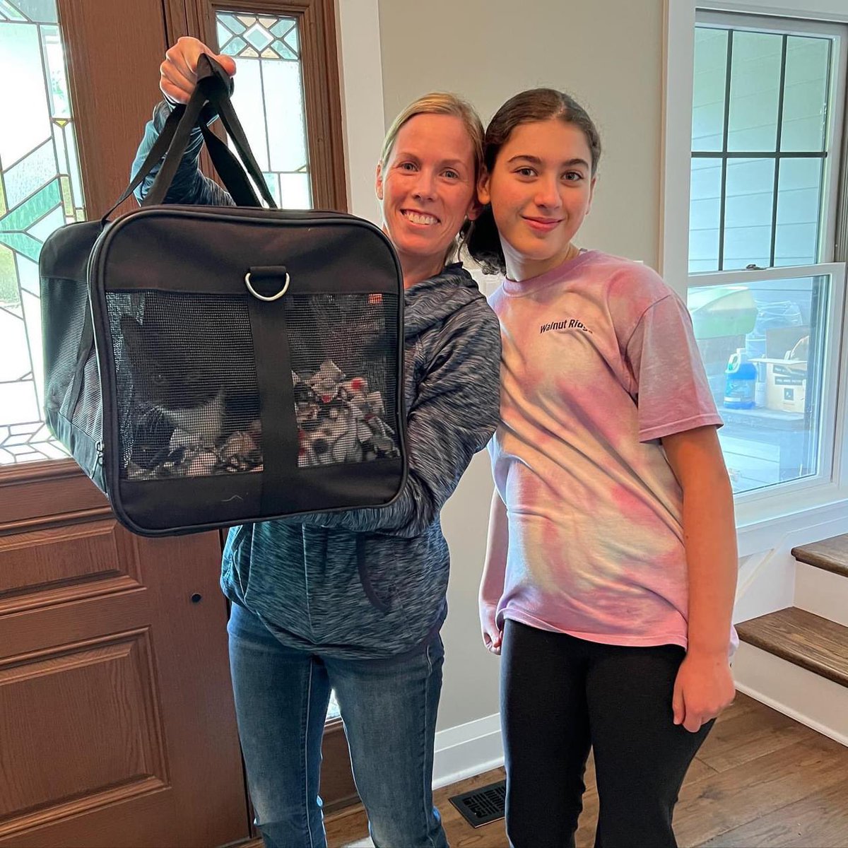 loudouncats's tweet image. Sparkplug/Muffler and Sage went to their forever homes today! Such a big day here at the CatHAirBnB. More news coming as well!
It has been such a joy fostering these kittens. It makes me so happy for them and their new families 🤎🩶🤍🖤🤍
#adopted #ragstoriches #sparkplug…