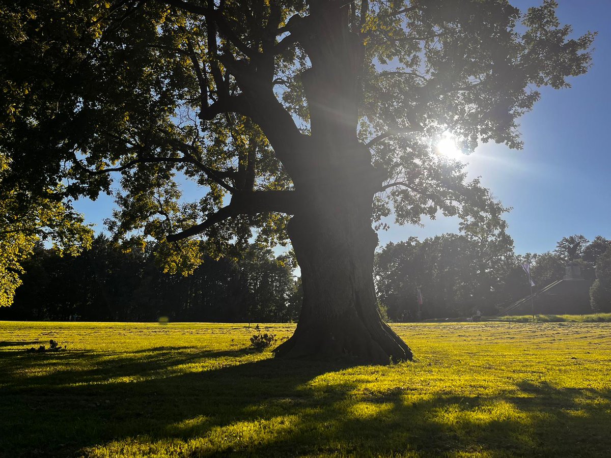 Sjećate li se kada ste se pridružili platformi X? Ja se sjećam! #MojaXGodišnjica