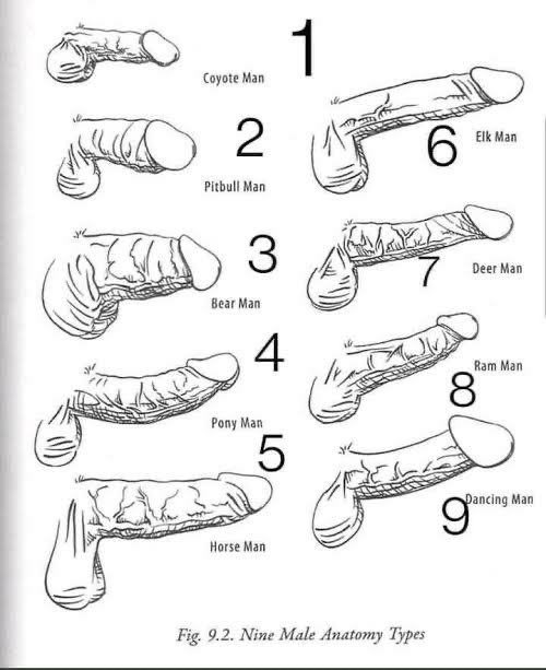 dseductiongame's tweet photo. The 9 Male Penis Types 💥

✅This is gonna be spicy.

Honestly I love all of them.

Tell me, babe ..

👅Which one is your penis type? 

Comment your number.
#male #penis #dick #cock 
(THREAD)👇 https://t.co/EWTs6eYEhJ