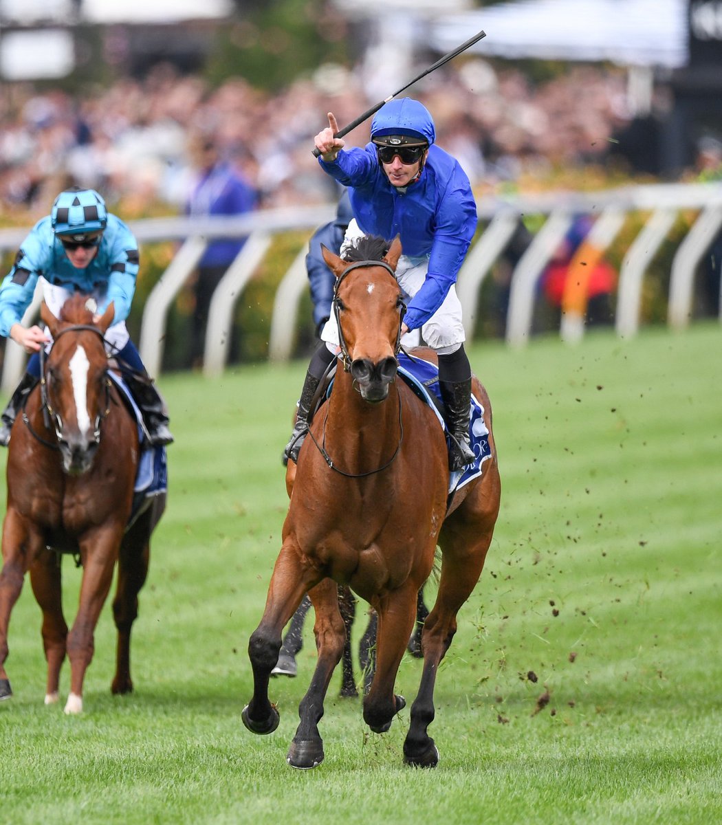 godolphin's tweet photo. 🇦🇺 NEWS: #InSecret and #Cylinder will line up in #TheEverest for 2023.

🔹 #InSecret will run in Godolphin’s slot.
🔹 #Cylinder (Exceed And Excel) will run in James Harron Bloodstock’s slot.

#TeamGodolphin @emirates