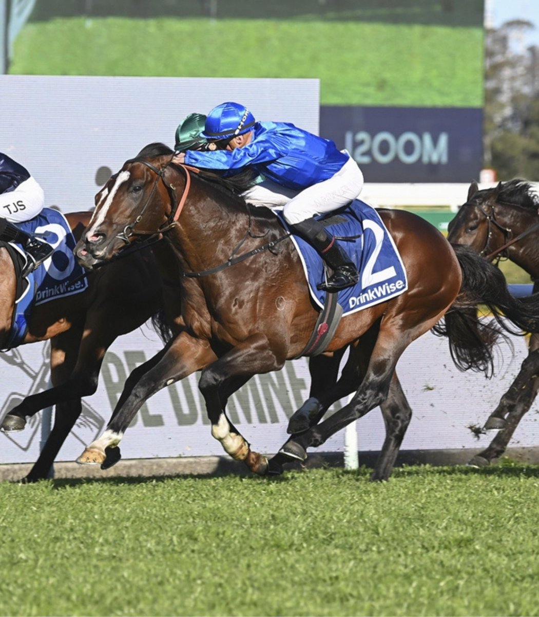 godolphin's tweet photo. 🇦🇺 NEWS: #InSecret and #Cylinder will line up in #TheEverest for 2023.

🔹 #InSecret will run in Godolphin’s slot.
🔹 #Cylinder (Exceed And Excel) will run in James Harron Bloodstock’s slot.

#TeamGodolphin @emirates