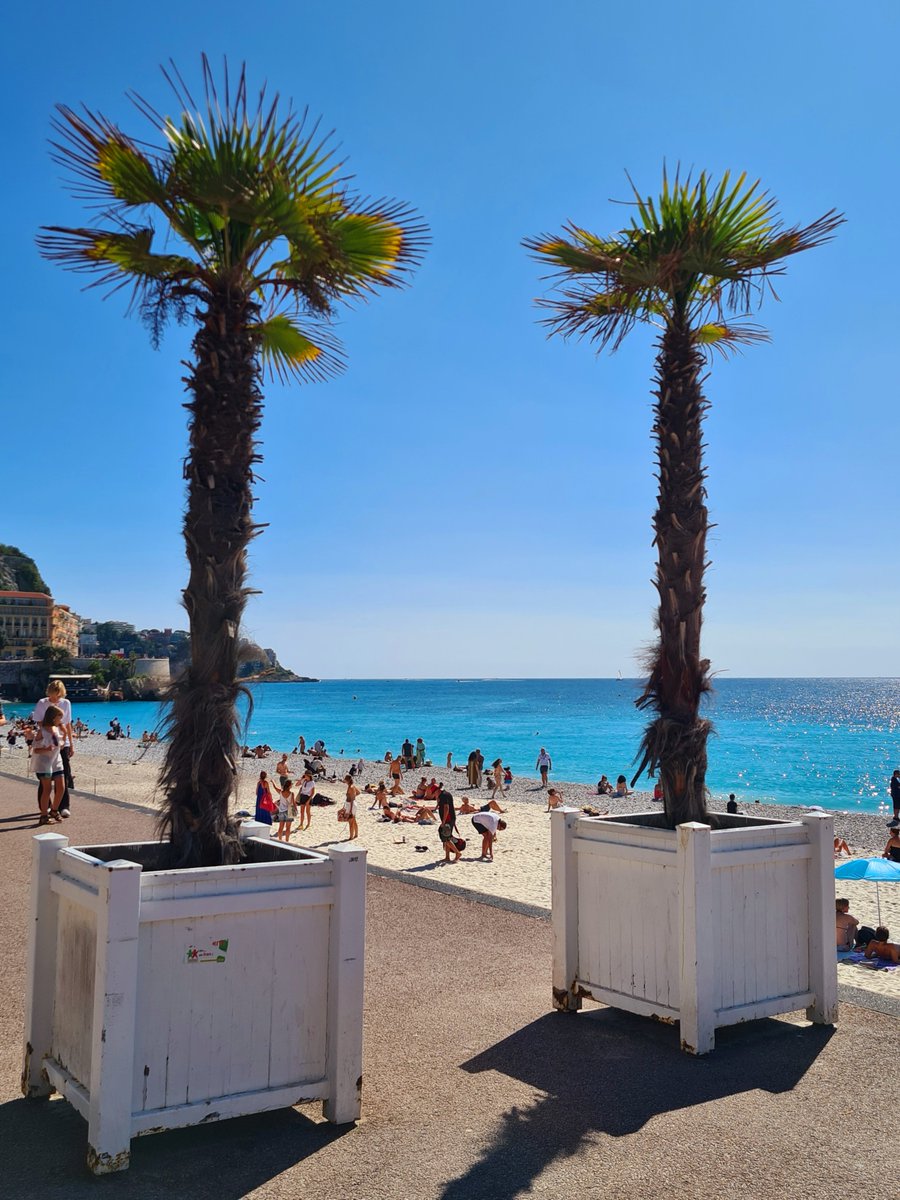 Harmonie... 😍 

#Ponchettes #VieuxNice #quaidesEtatsUnis #Riviera  #Nice06 #CotedAzurFrance 
#ILoveNice #NiceCotedAzur