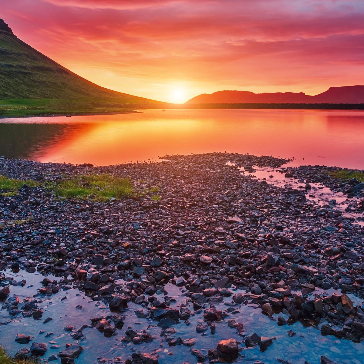 AbundantWorld tweet media