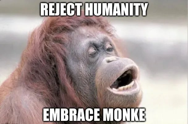 RealRosky's tweet photo. @Fityeth A FAT JUICY AND HAIRY BAG OF $MONKE https://t.co/tScIJcLq8G