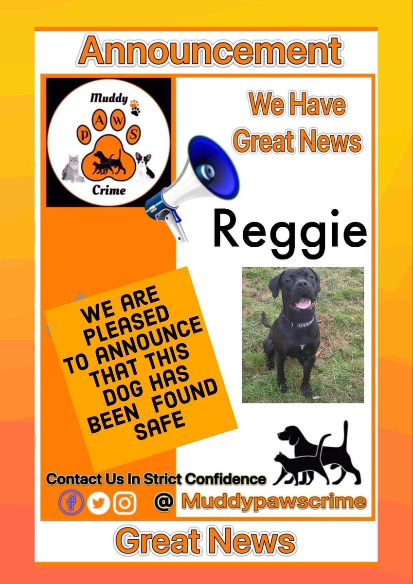 So pleased to say that after 7 months Reggie has been Found safe 🙏🙏