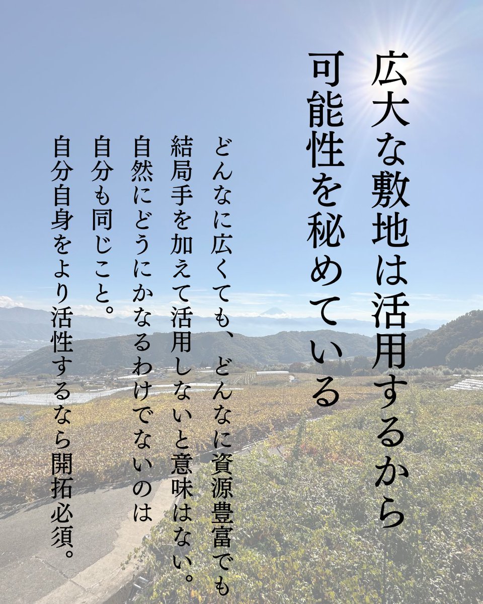 完全な自然界じゃないなら、これ。
自分も自分で開拓するか人に手伝ってもらうか。
📷山梨_塩山