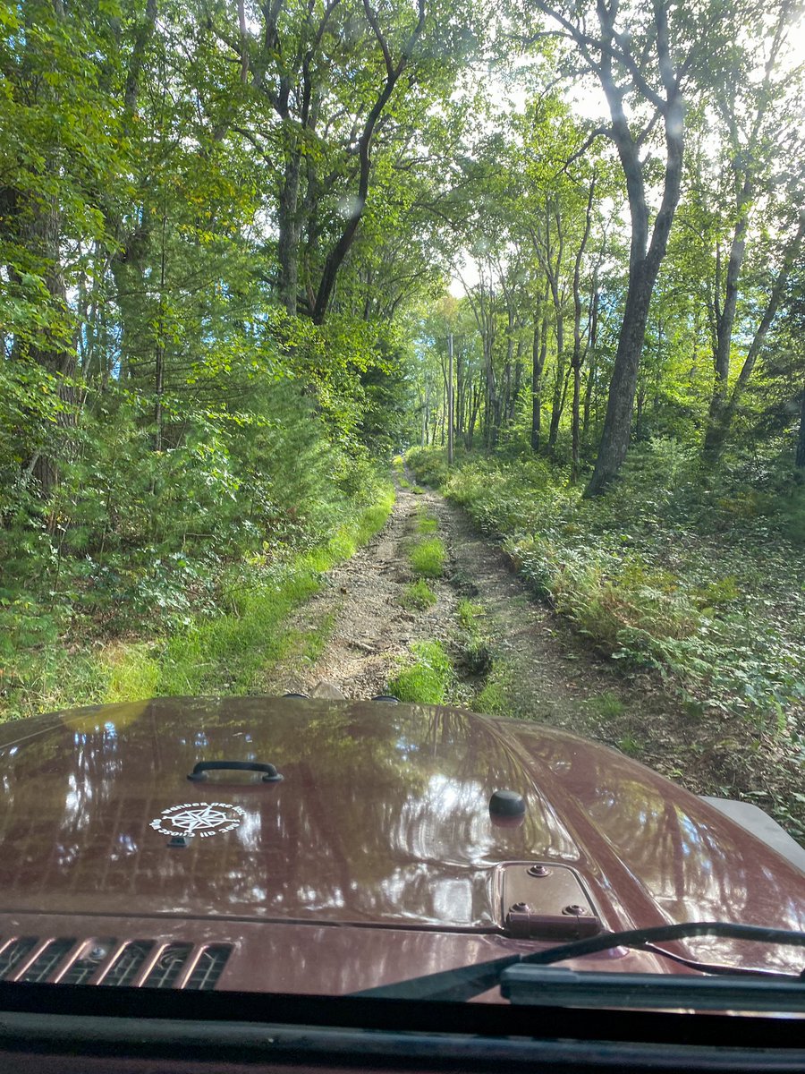 JeepGirl_13's tweet photo. The road less traveled. #Jeep #jeepwrangler #gooffroad https://t.co/m3lkMOKwPt