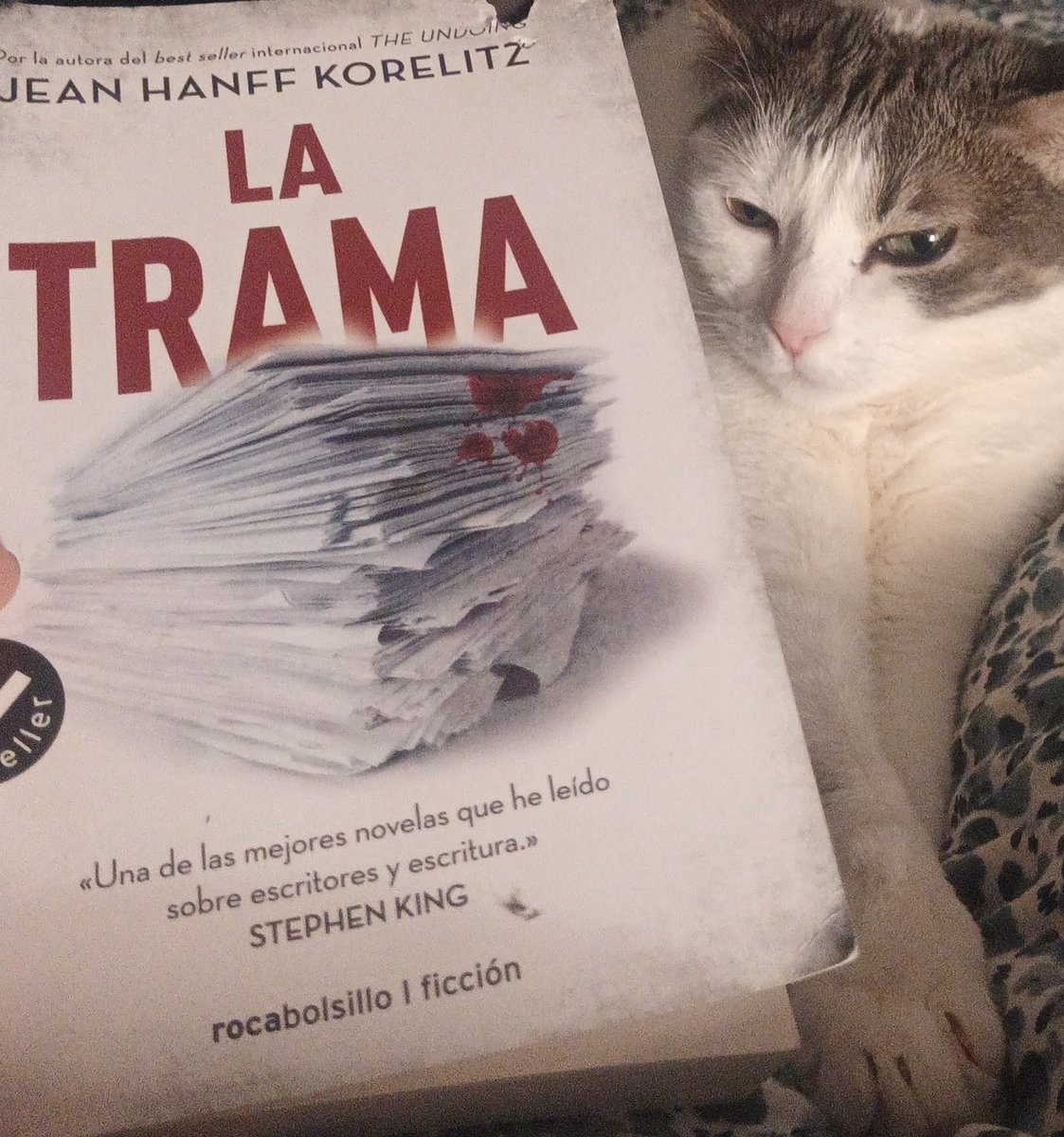 Laura Cornejo tweet media