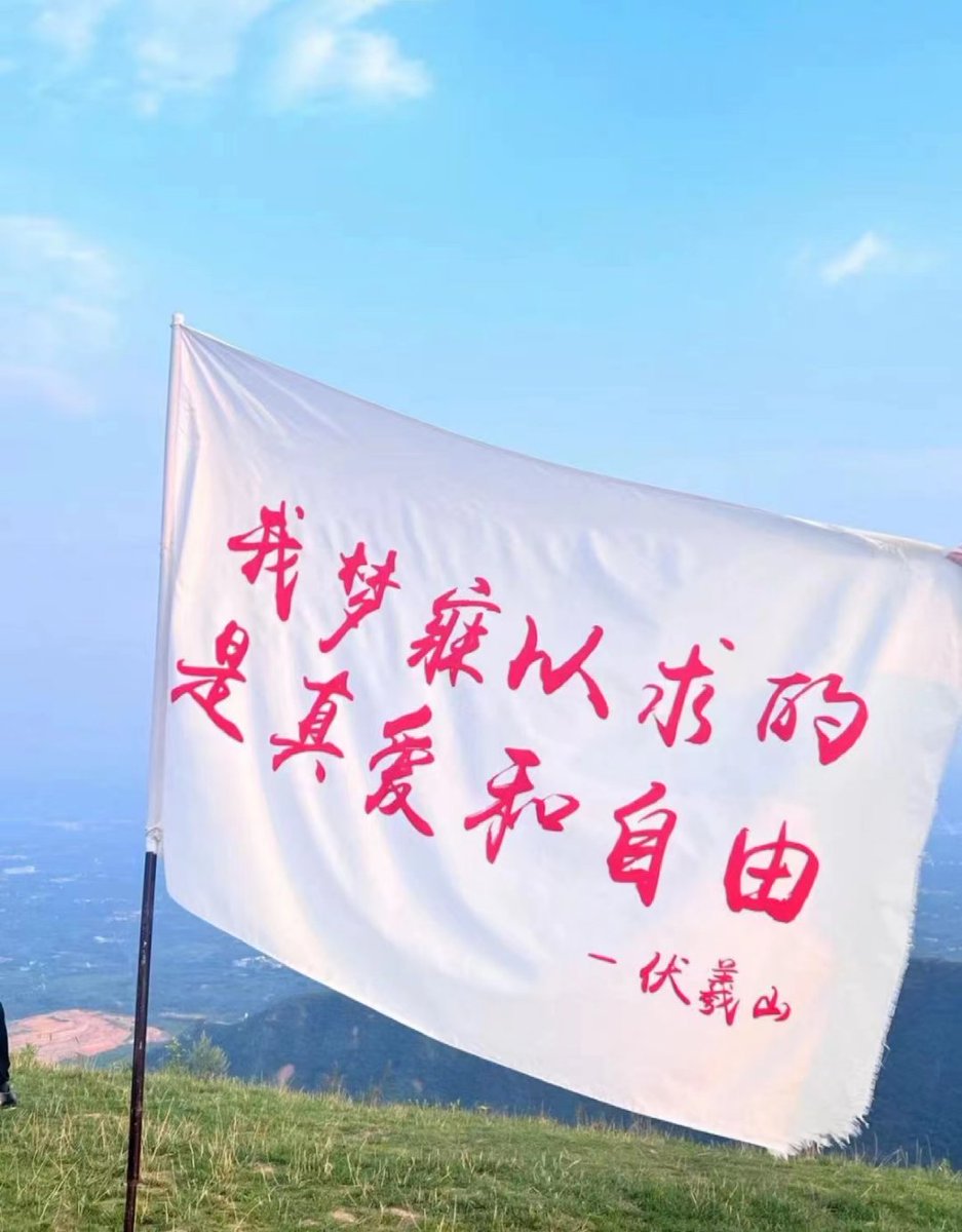 郑州蜜桃 tweet media