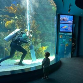 TXStateAquarium's tweet photo. Special shout out to our dive team! Not only do they keep our exhibits sparkling clean, but they also take the time to make someone's day! π
πΈ Erin Jolley
#aquarium #texastodo #corpuschristi #diver #visittx https://t.co/mriSIc7YuK