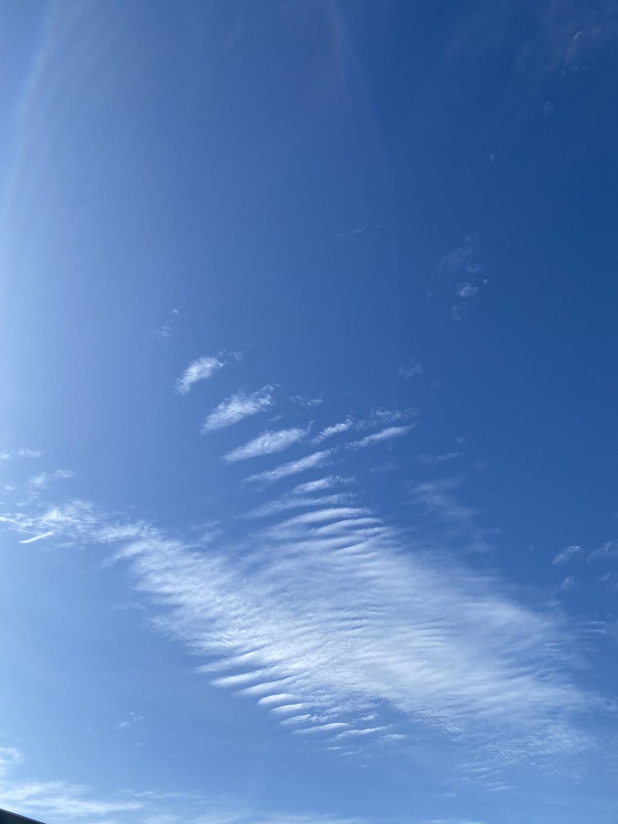秋空しあわせ🍂☁️（秋生まれ）