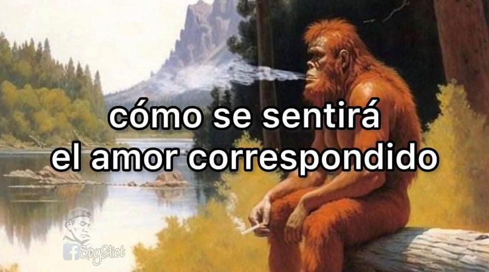 Memes Universidad Nacional tweet media