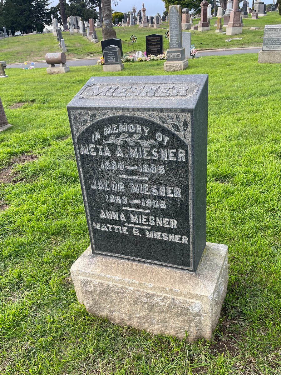 Graves, Mostly Colma tweet media