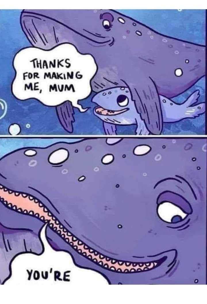 Don’t block me… but this was funny 😂