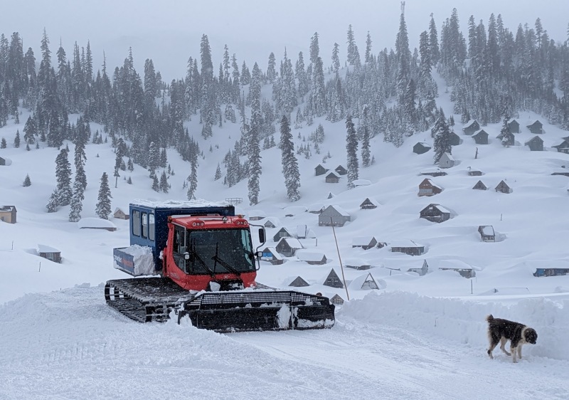 powderhounds1's tweet photo. It's time to unleash your inner powder hound and check out what catskiing trips are on offer in southwest Georgia this winter. A few places are still available for peak season. See the tours &amp; availability here:https://t.co/vod2u0jCwd https://t.co/aCH1uLHh4c