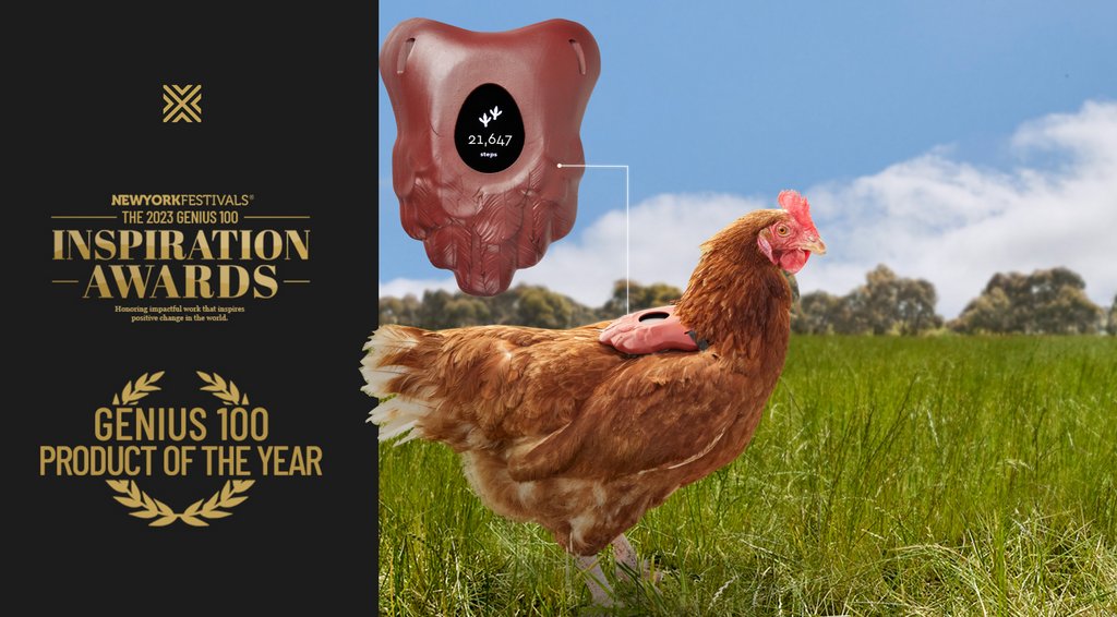 So clucking excited over the amazing news that FitChix has been named New York Festival's Genius 100 Product of the Year! Don't miss out on checking out the full list of incredible products at link in bio! #wearevmlyr