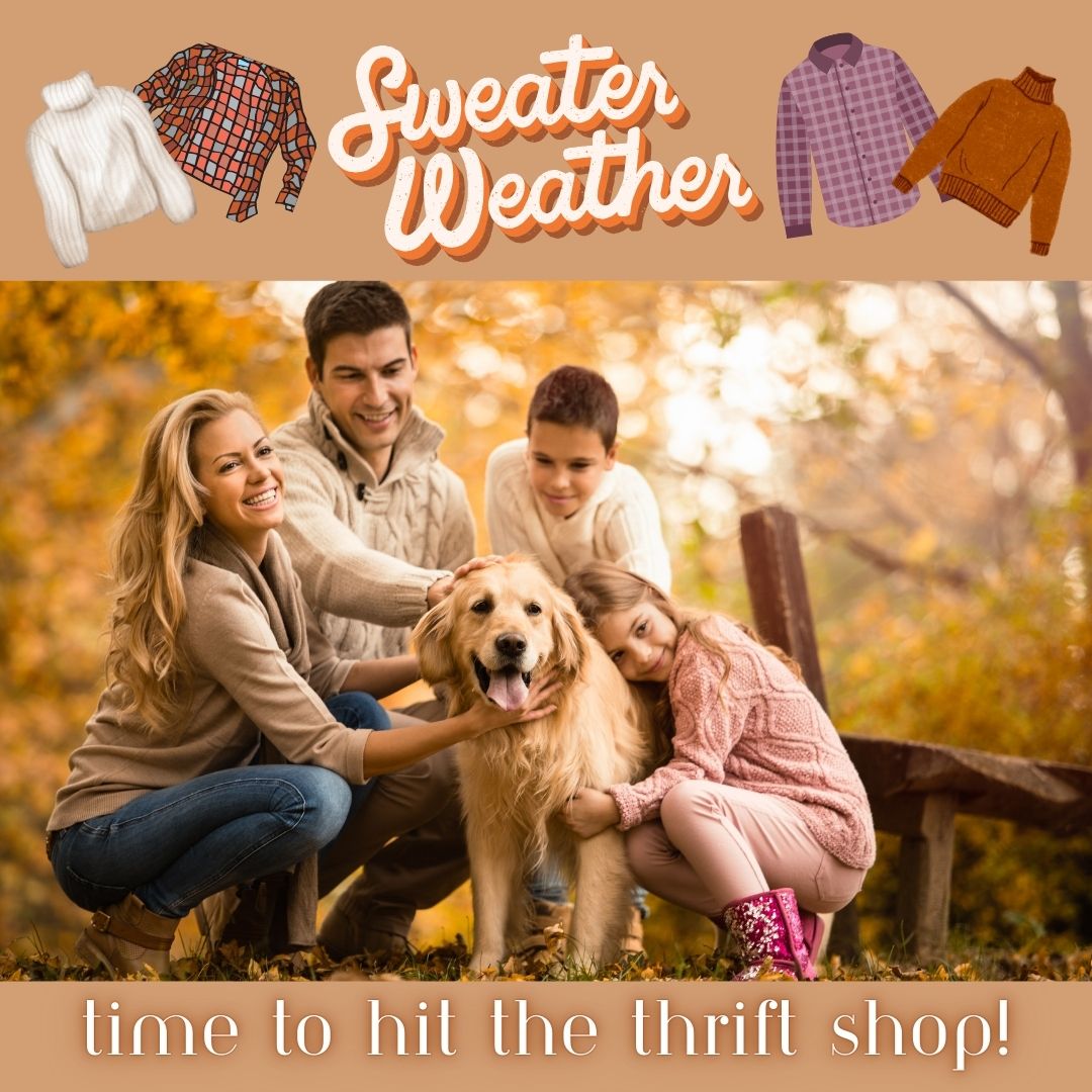 getgreenapp's tweet photo. #Sweaterweather is upon us! 🍂🍁 Enjoy #sustainableshopping by picking up some cozy knit sweaters or toasty flannels from a thrift shop or online #resale store. Visit @thredup, @poshmark, @depop for some new-to-you styles this season! #thrifting #onlineresale #sustainablefashion https://t.co/R4sOqhQG0N