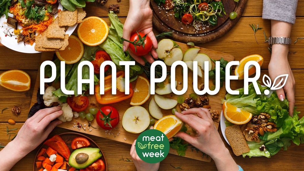 BowelCancerAust's tweet photo. 2/3 “During treatment, when your body may be under additional stress, plant-based foods can be especially beneficial. Helping boost ur immune system, with digestion, & giving u the energy u need to repair.” ~ Teresa, #BowelCancerAustralia Bowel Care Nutritionist.
#MeatFreeWeek https://t.co/B5vwdgBSvM
