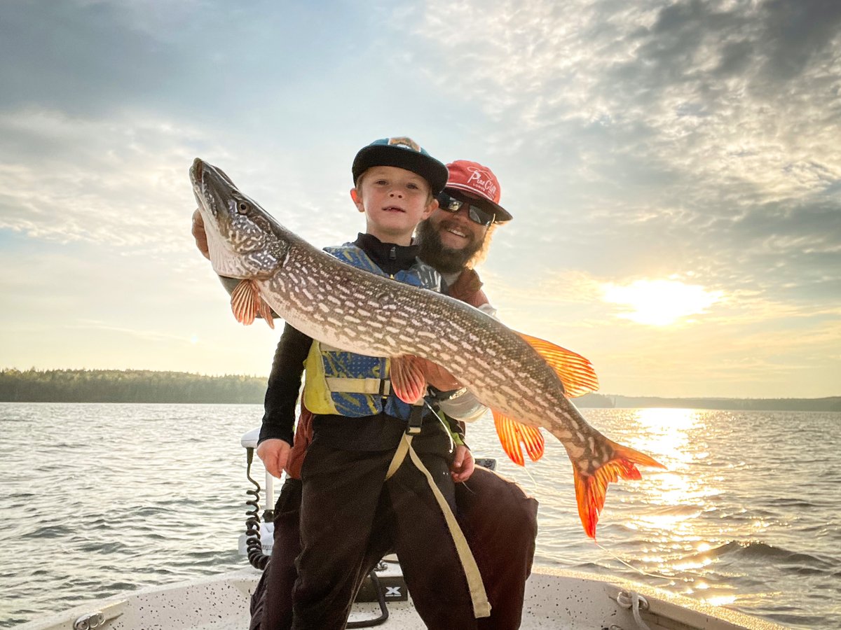pineclifflodge's tweet photo. We were scouting the fall lake trout bite yesterday afternoon when Sully landed this 35” #trophypike on ultralight gear. #Ithinkitsalaker #ithastobealaker #itsnotalaker https://t.co/ONITQ31hIS
