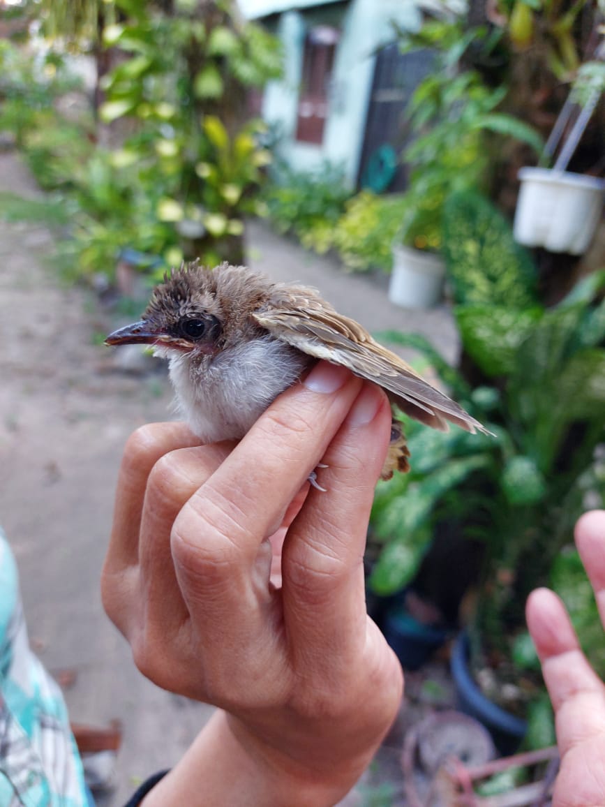 jika orang yang kau sakiti masih baik terhadap mu
bukan berarti dia bodoh
hanya saja level yang dia miliki sudah di atas mu 
jika kamu bisa menggunakan otak mu untuk berfikir seharusnya kamu  juga malu

- menjadi pemaaf ada jaminannya 

☕♏