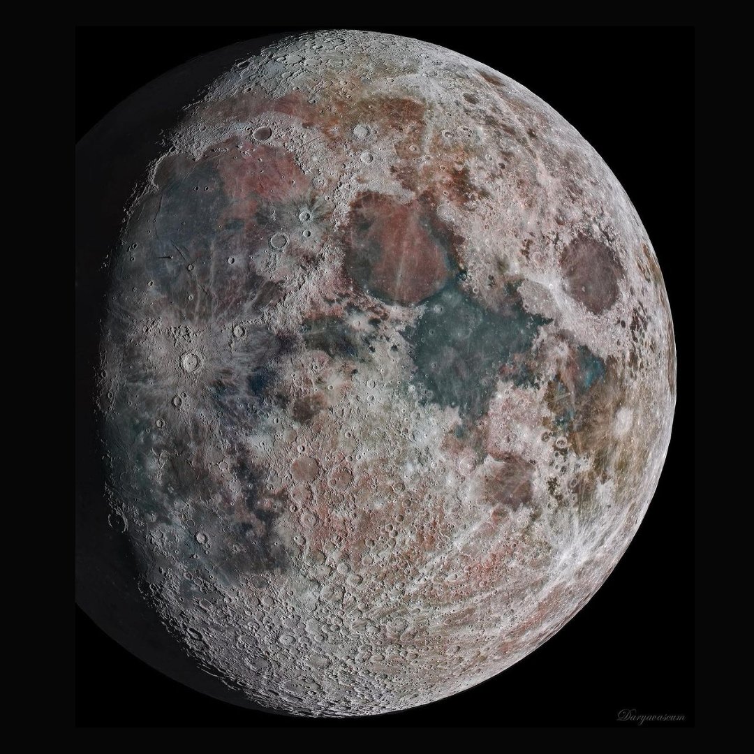 The JRE Companion tweet media