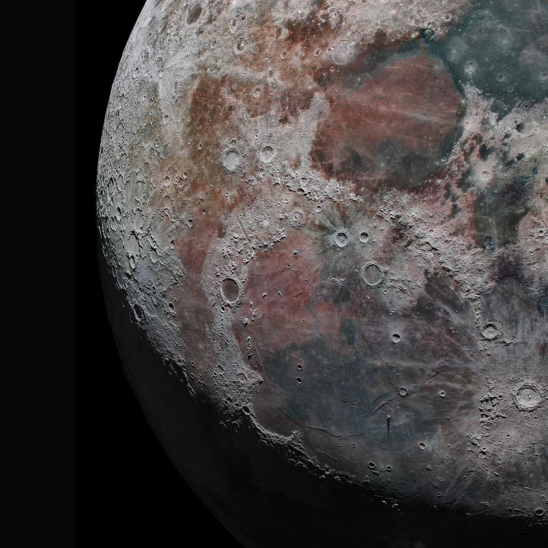 The JRE Companion tweet media