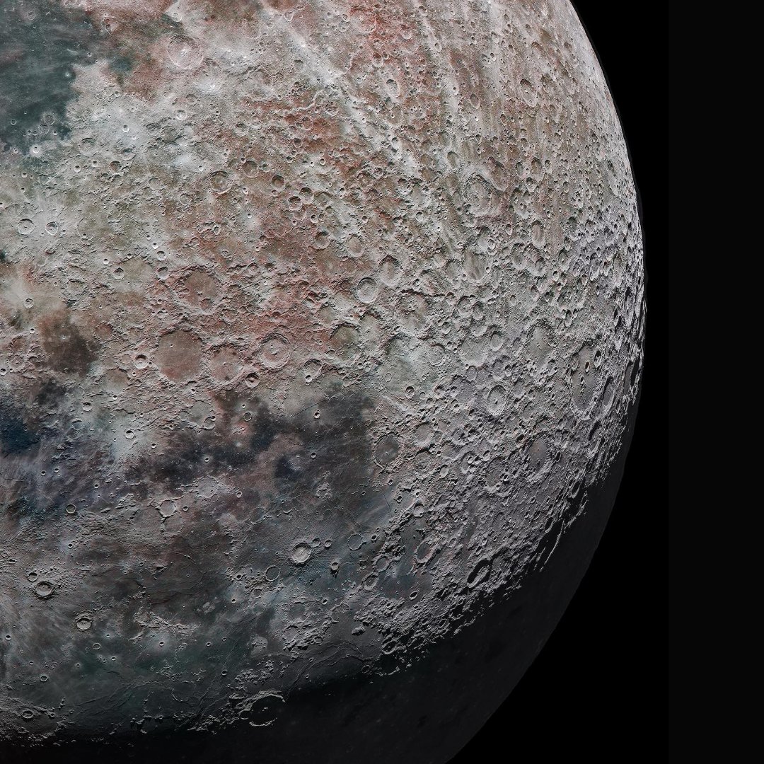 The JRE Companion tweet media