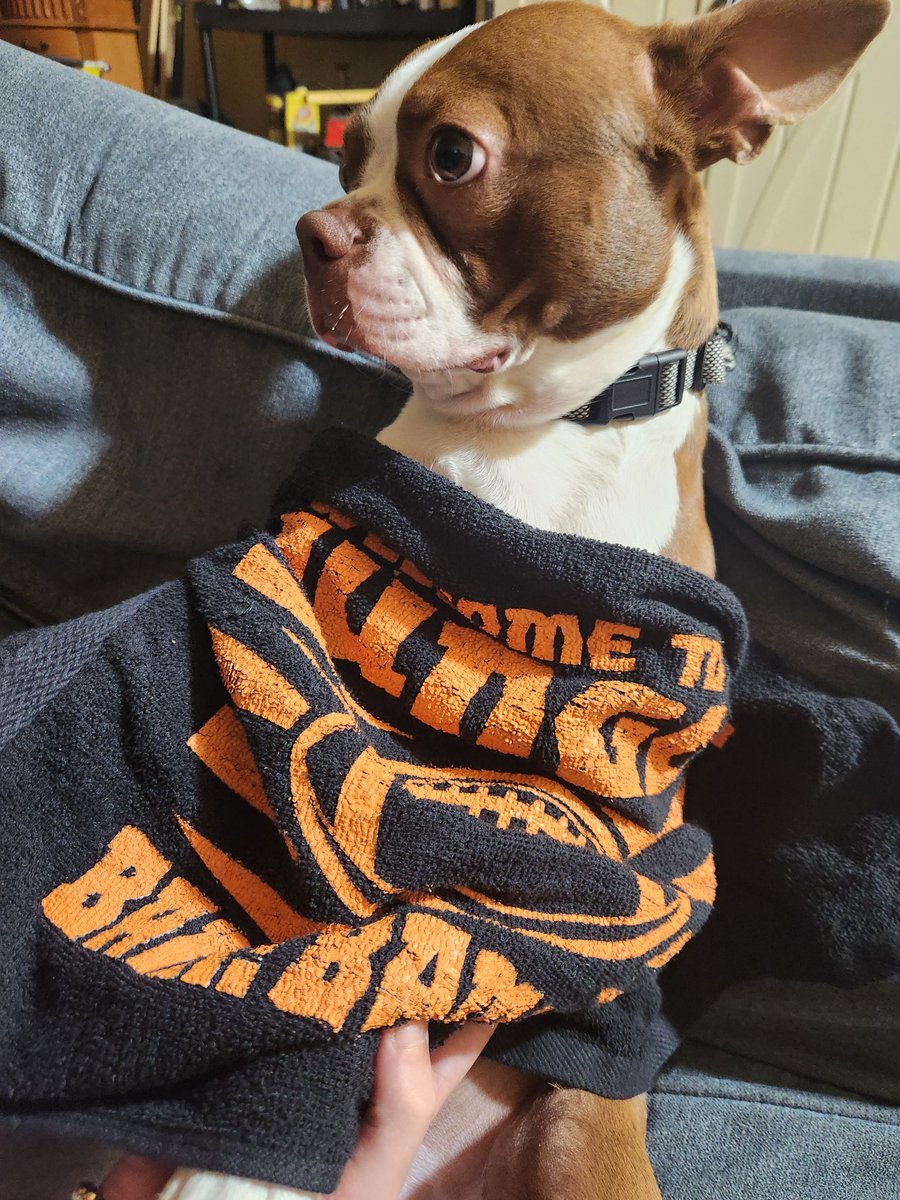 tstephens1983's tweet photo. @ESPNNFL @Bengals @NFL Ready for some 🏈 🏈 🏈  WHO-DEY😝😝😝😝😝🤪🤪🤪🤪 NEED this  🏆🏆🏆 #NFL #CincinnatiBengals #NFLNews https://t.co/SB6PCiEeZo