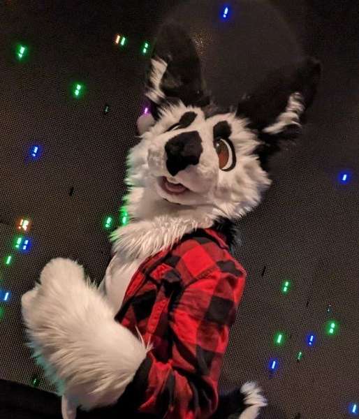 FursuitReview's tweet image. New #fursuit review (written by @holtrabbit):
[YES] Holt the Rabbit Partial by EatGuitars

Read it here:
fursuitreview.com/r/yes-holt-the…