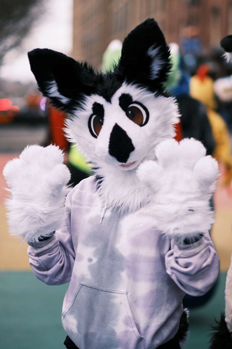 FursuitReview's tweet image. New #fursuit review (written by @holtrabbit):
[YES] Holt the Rabbit Partial by EatGuitars

Read it here:
fursuitreview.com/r/yes-holt-the…
