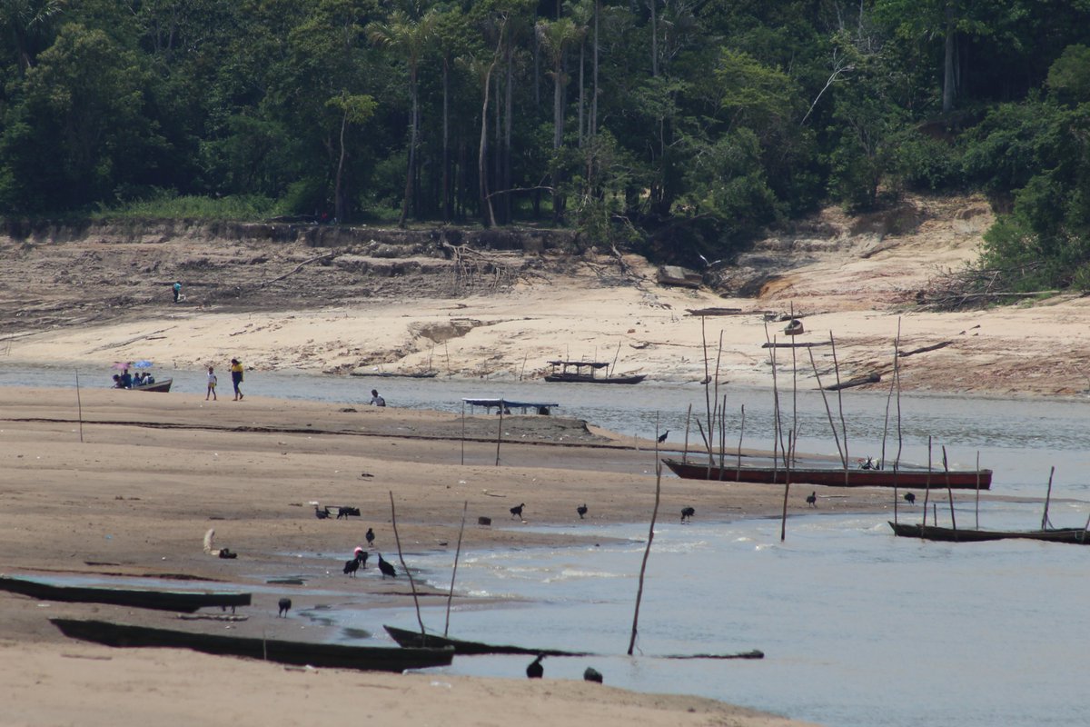 AyanFleischmann's tweet photo. The bottom of the Amazon River, revealed by the 2023 drought https://t.co/j5qEGtCd5w