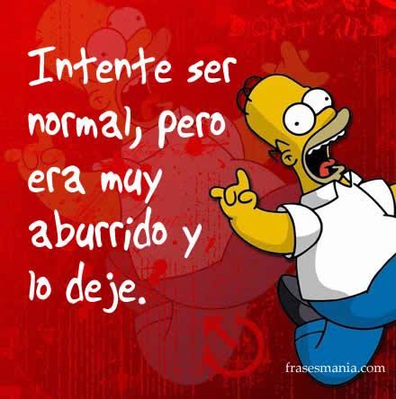 Alejandra Urbina (@auc_koda) on Twitter photo 