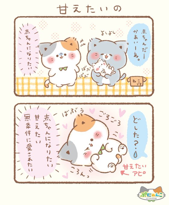 願望 | ぷにゃんこ🐾｜TOKUDOME🌼 さんのマンガ | ツイコミ(仮)