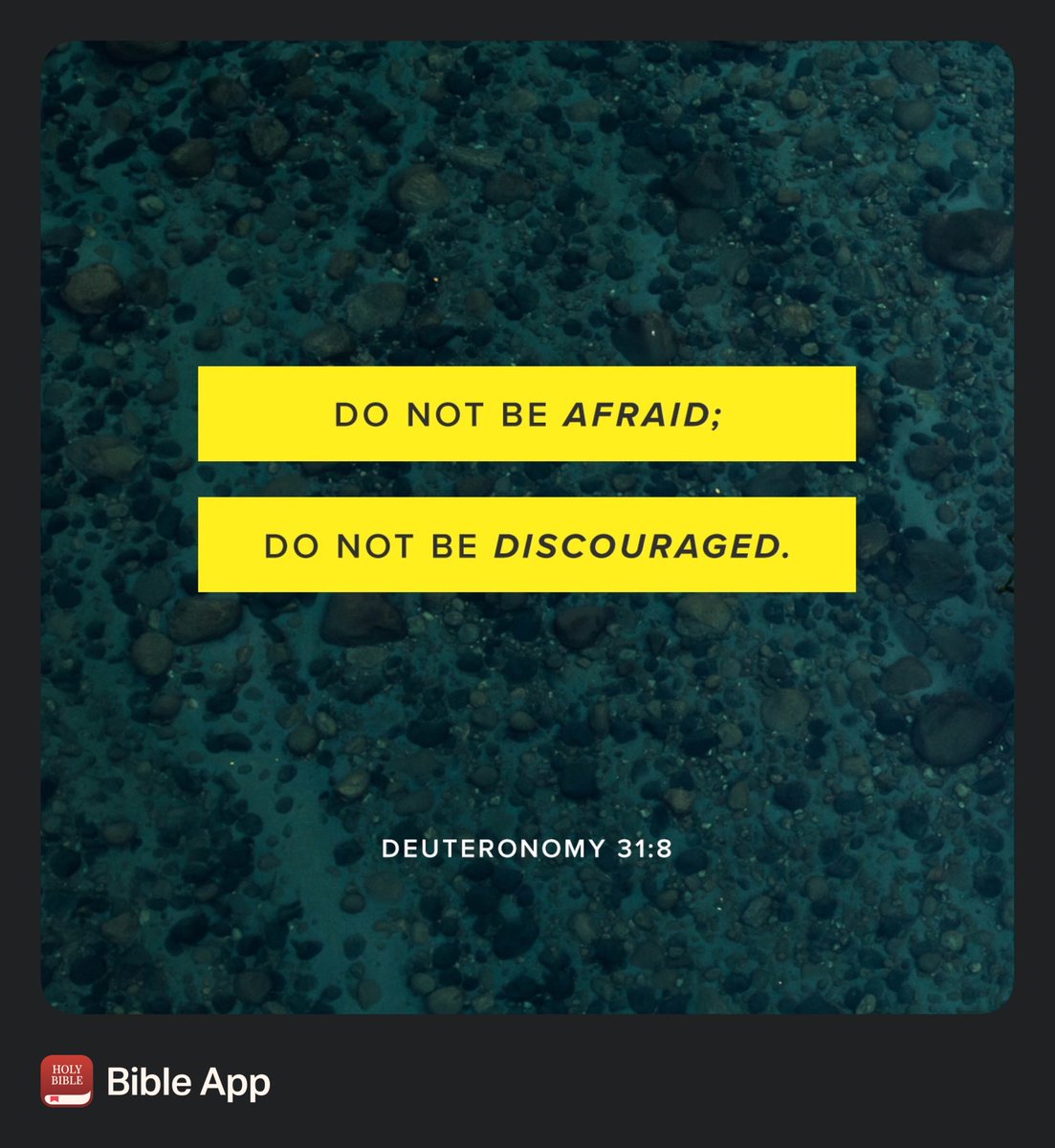 Jenyour's tweet image. Duet 31:8
#PrayForThePersecuted

 #GodsPrayerRoom