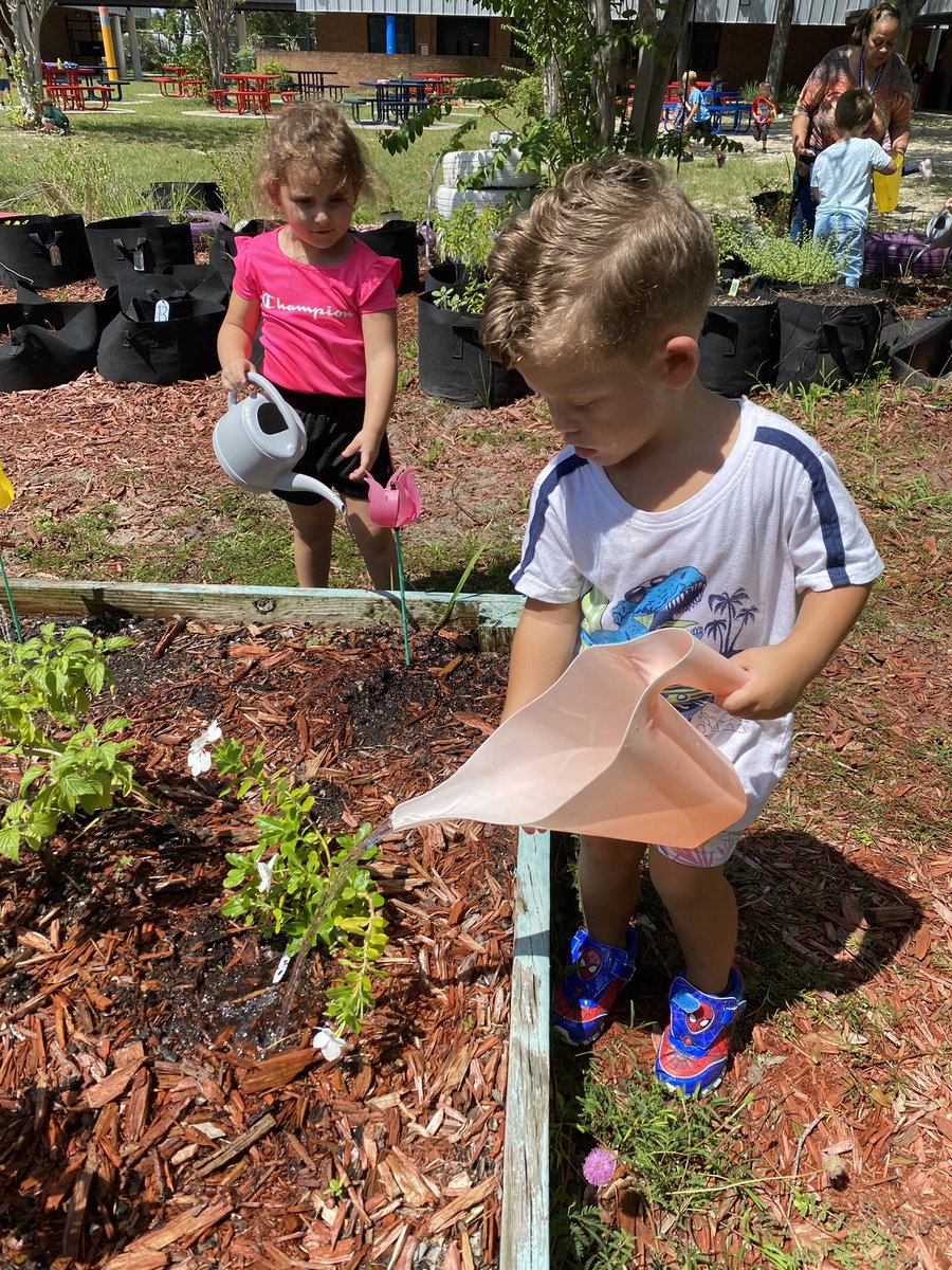 JamiMonahan9's tweet image. The #VCSscientists at @Go_Dragons_ are watering the garden 💦 🌻🌸🪻These young scientists are truly exploring the world around them‼️☀️ #science #nature