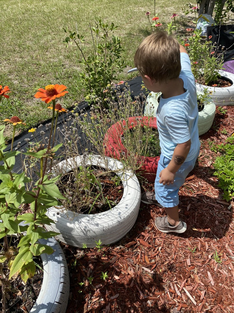 JamiMonahan9's tweet image. The #VCSscientists at @Go_Dragons_ are watering the garden 💦 🌻🌸🪻These young scientists are truly exploring the world around them‼️☀️ #science #nature