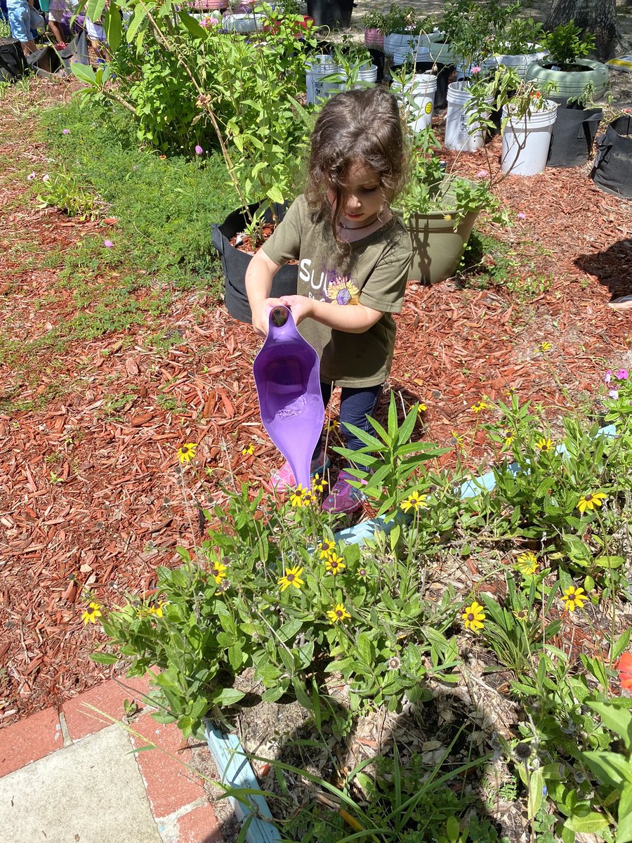 JamiMonahan9's tweet image. The #VCSscientists at @Go_Dragons_ are watering the garden 💦 🌻🌸🪻These young scientists are truly exploring the world around them‼️☀️ #science #nature