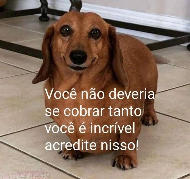 matheus's tweet photo. 🥹🥹🥹🥹🥹🥹🥹🥹🥹🥹🥹🥹🥹🥹 https://t.co/fcWDvRinuJ
