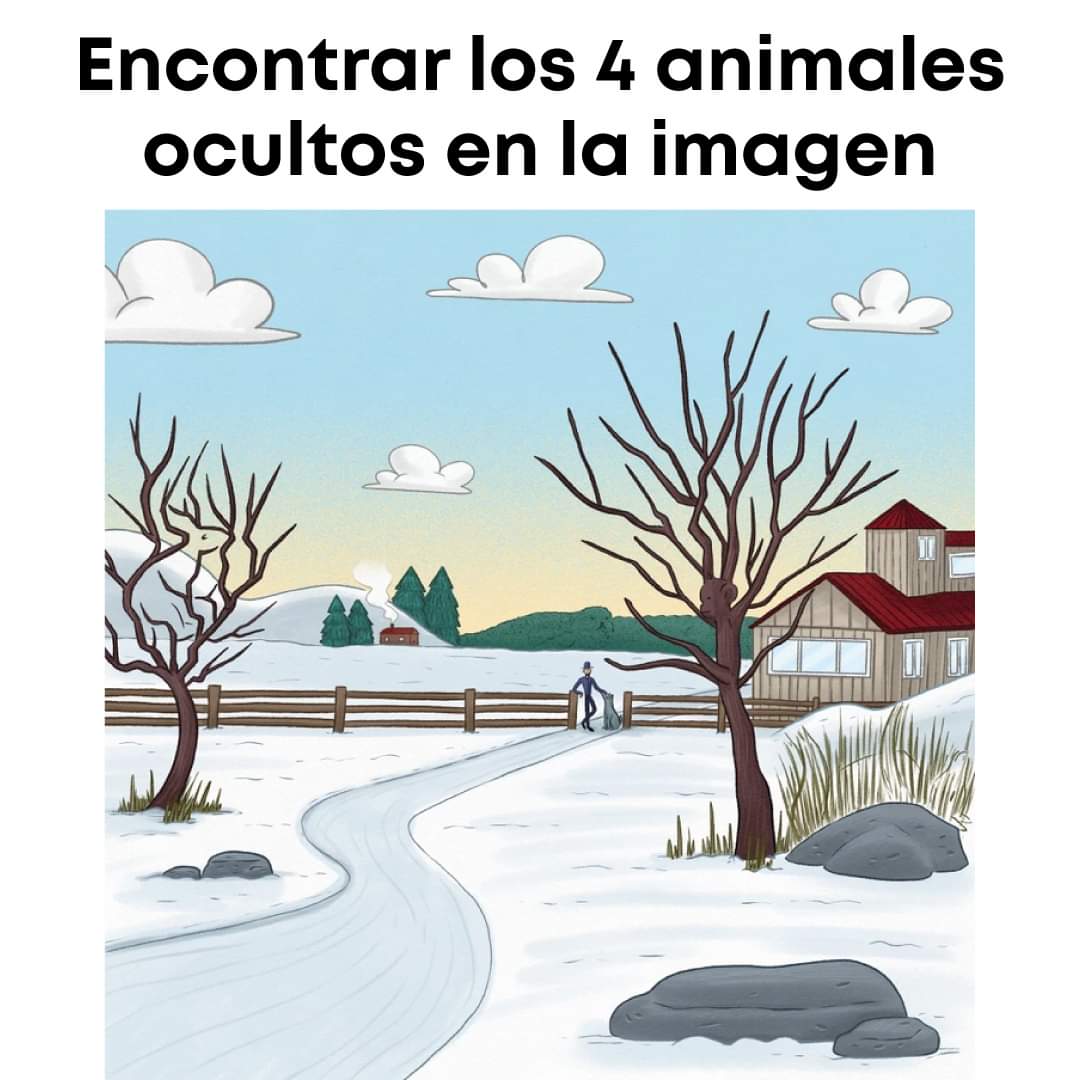 Ari_Aguito's tweet photo. Ten linda noche 😇 yo ví está imagen y encontré los 4 animales ocultos😅 #InicioDeOtoño #Lunes #InicioDeSemana  @AnaSilviaFlo @RebecaGaliciaV @SonyAFe16 @ https://t.co/8dblKc00Fb